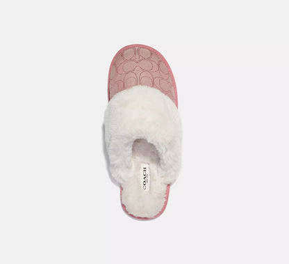 Slipper Signature